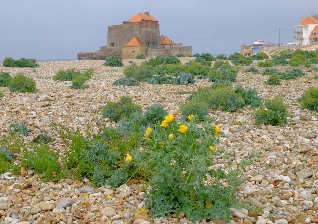 Appartamento Sea Wind And Sun Wimereux Esterno foto